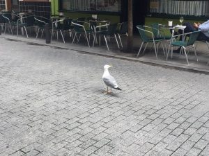 img-20170831-wa0003
