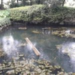 blog-2