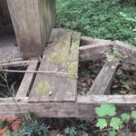 blog-3