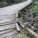 blog-6