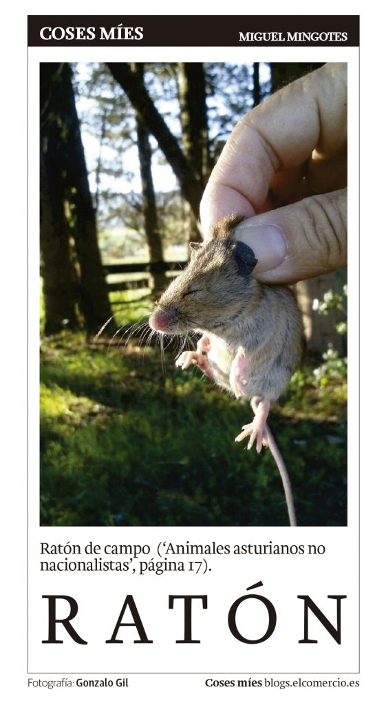 Ratón