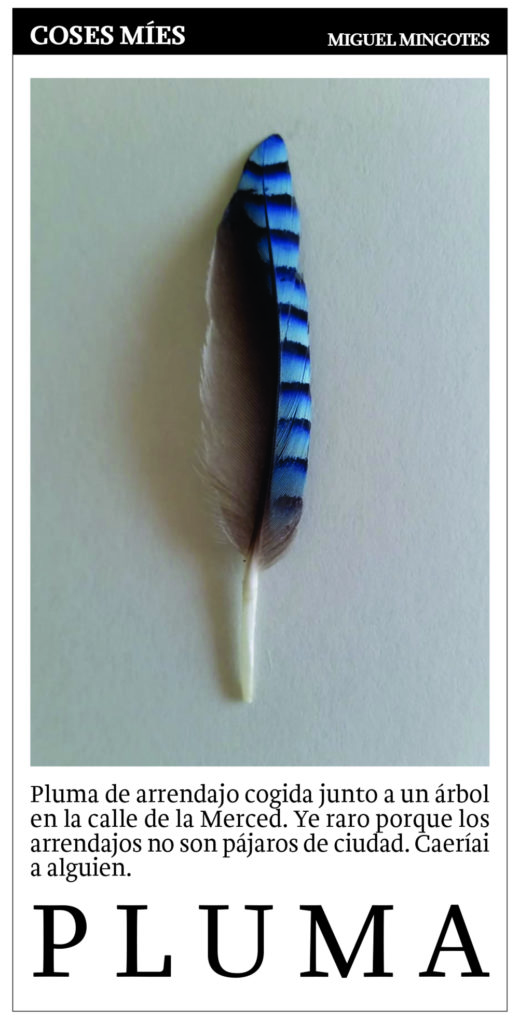pluma